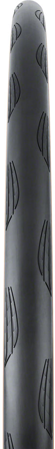 Continental Grand Prix TR Tire - 700 x 25 Tubeless Folding BLK/Transparent BLKChili