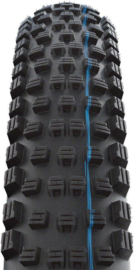 Schwalbe Wicked Will Tire - 29 x 2.4 Tubeless Folding BLK Evolution Line Super Trail Addix SpeedGrip